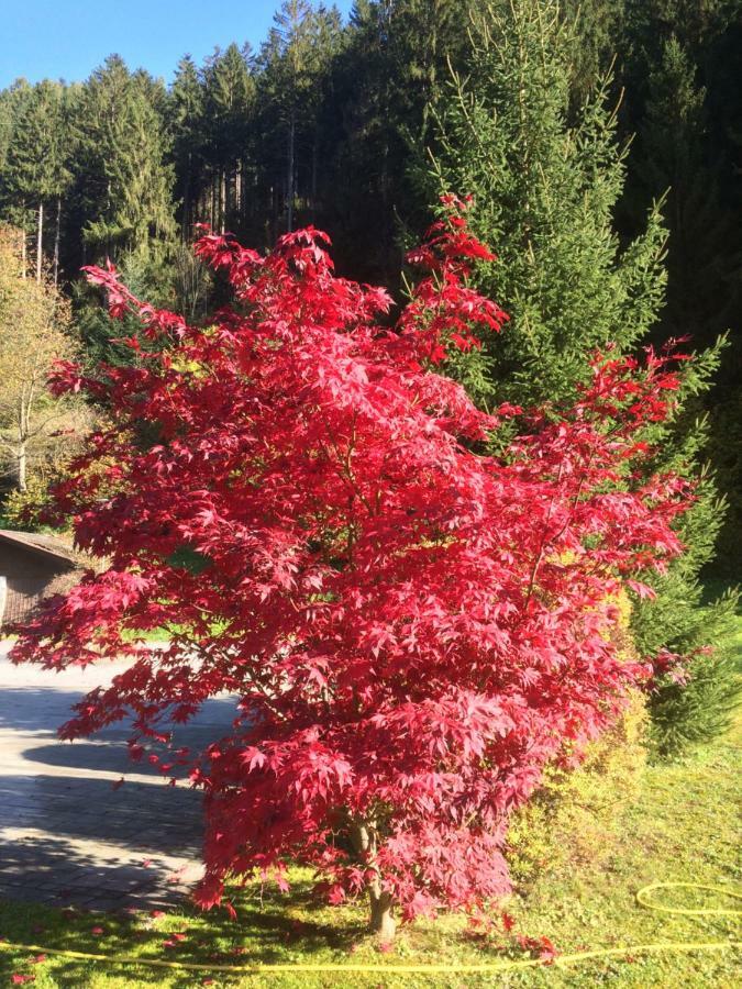 Gasthof Waldrast Zell am Ziller Zewnętrze zdjęcie